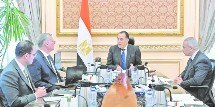 «صغار الفراعنة» يطاردون المجد القارى