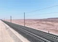 «صغار الفراعنة» يطاردون المجد القارى