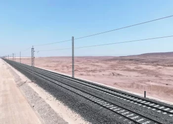 «صغار الفراعنة» يطاردون المجد القارى