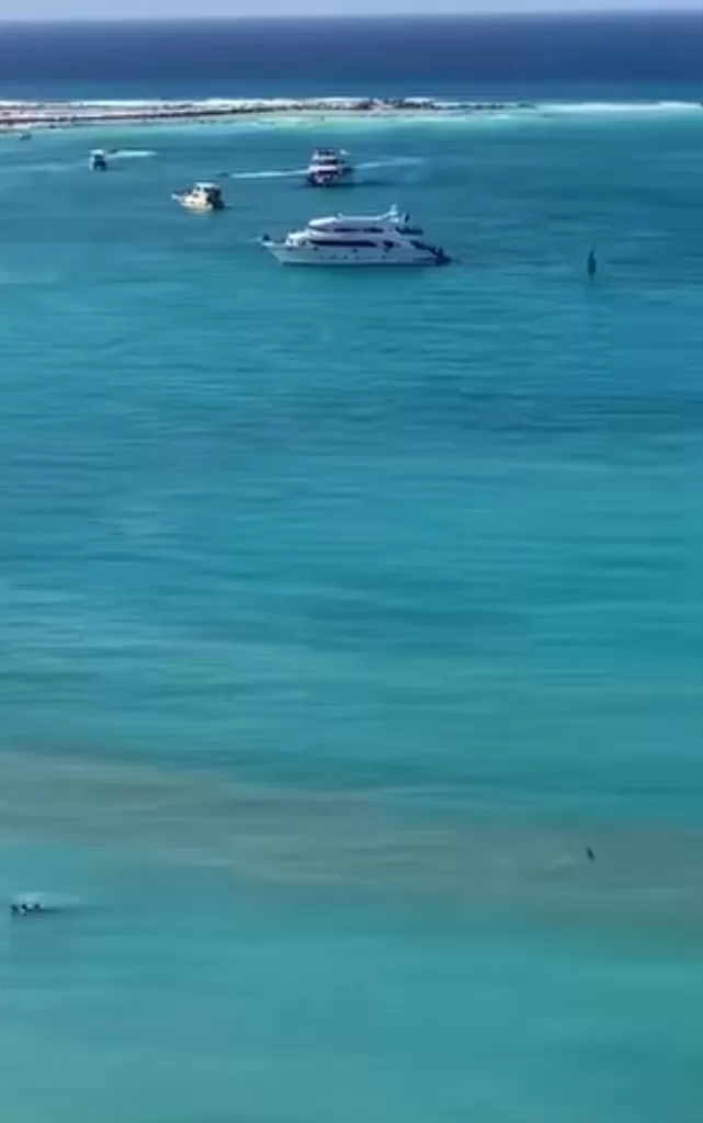 برمالها البيضاء وجمال شواطئها... مرسى مطروح تُنهي استعداداتها لاستقبال عيد الأضحى المبارك 3 - جريدة الجمهورية WhatsApp Image 2026 05 25 at 11.34.29 AM 2 - جريدة الجمهورية