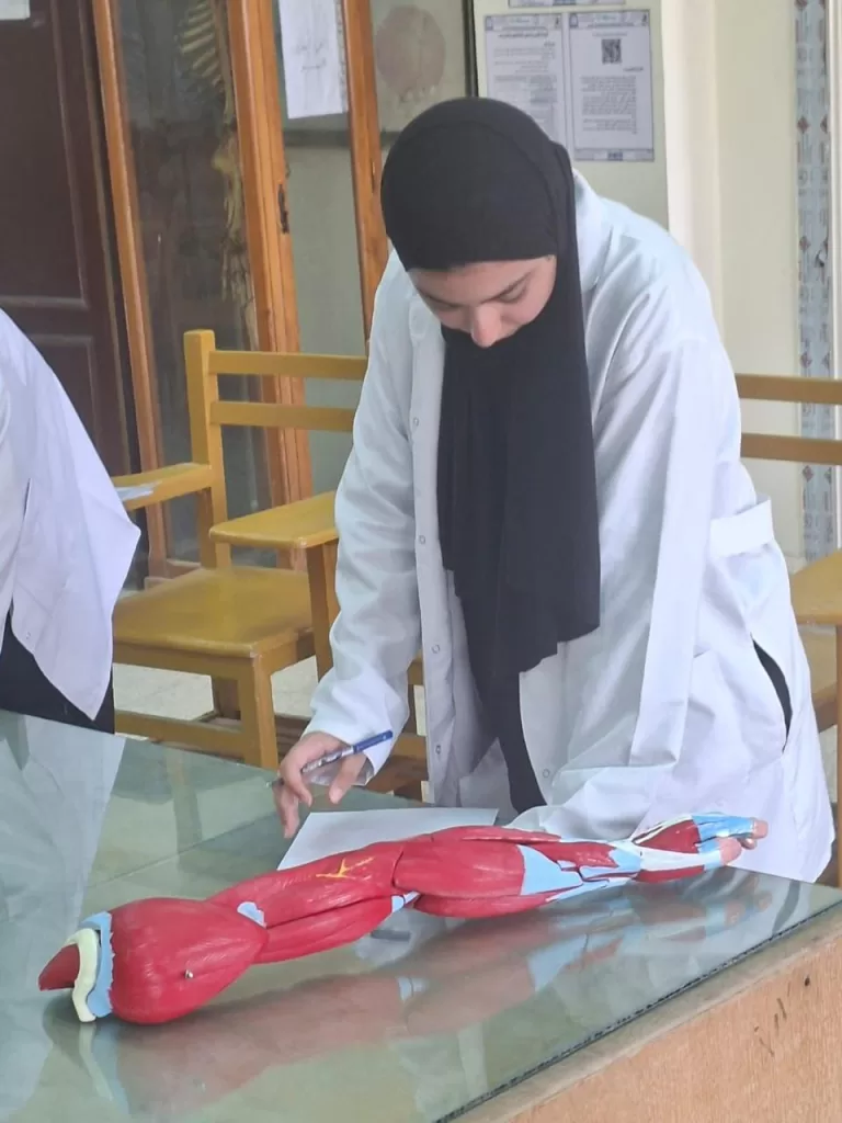 طلاب كليات القطاع الصحي بجامعة القاهرة الأهلية يؤدون الامتحانات العملية في أجواء من الانضباط والتنظيم 16 - جريدة الجمهورية WhatsApp Image 2026 05 25 at 2.15.18 PM 1 - جريدة الجمهورية