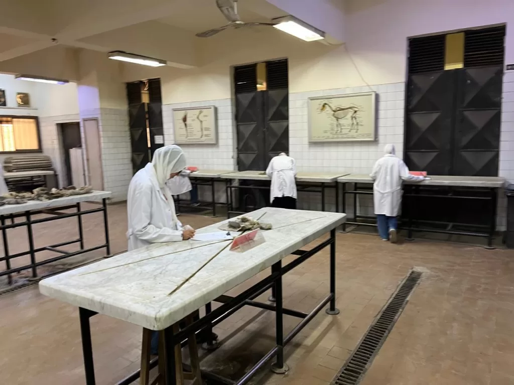 طلاب كليات القطاع الصحي بجامعة القاهرة الأهلية يؤدون الامتحانات العملية في أجواء من الانضباط والتنظيم 20 - جريدة الجمهورية WhatsApp Image 2026 05 25 at 2.15.18 PM - جريدة الجمهورية
