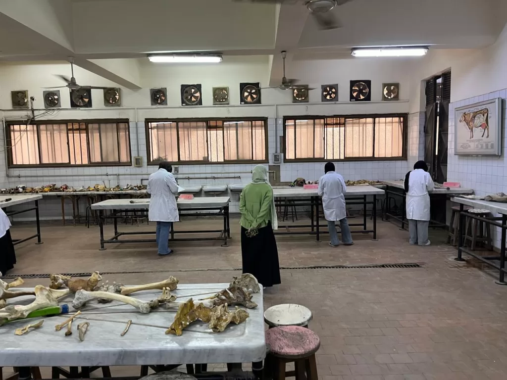 طلاب كليات القطاع الصحي بجامعة القاهرة الأهلية يؤدون الامتحانات العملية في أجواء من الانضباط والتنظيم 25 - جريدة الجمهورية WhatsApp Image 2026 05 25 at 2.15.19 PM - جريدة الجمهورية