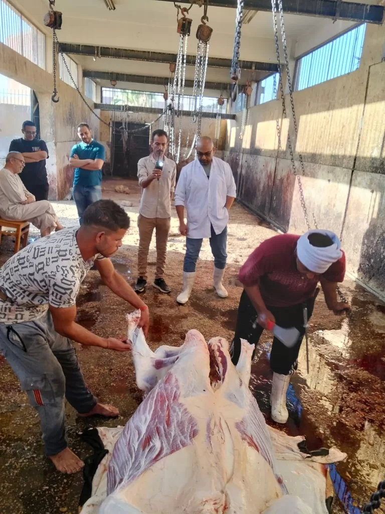 WhatsApp Image 2026 05 27 at 12.56.32 PM - جريدة الجمهورية