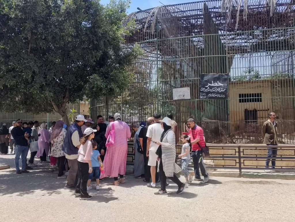 إقبال كبير على معالم الإسكندرية في العيد وسيولة مرورية تزين الثغر 9 - جريدة الجمهورية WhatsApp Image 2026 05 28 at 1.35.51 PM 4 - جريدة الجمهورية