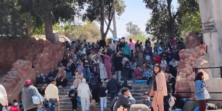 إقبال كبير على معالم الإسكندرية في العيد وسيولة مرورية تزين الثغر 1 - جريدة الجمهورية إقبال كبير على معالم الإسكندرية في العيد وسيولة مرورية تزين الثغر