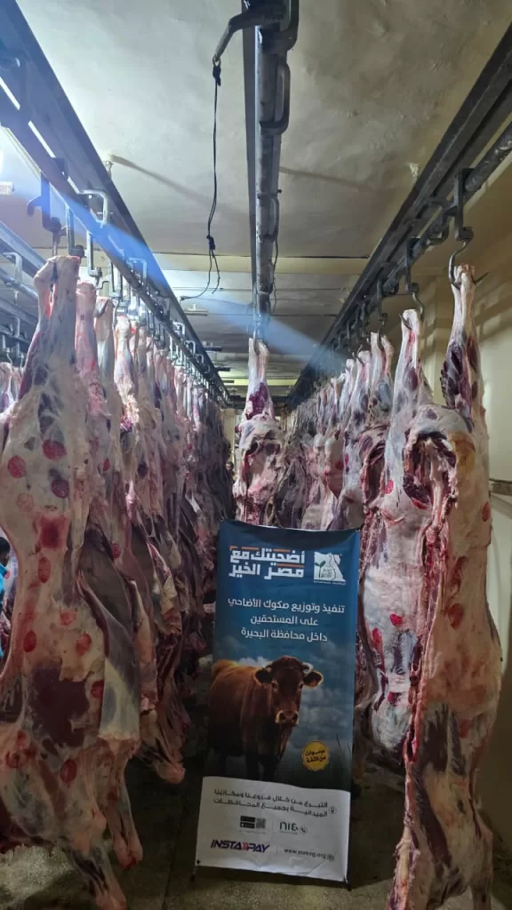 WhatsApp Image 2026 05 30 at 1.54.11 PM1 - جريدة الجمهورية