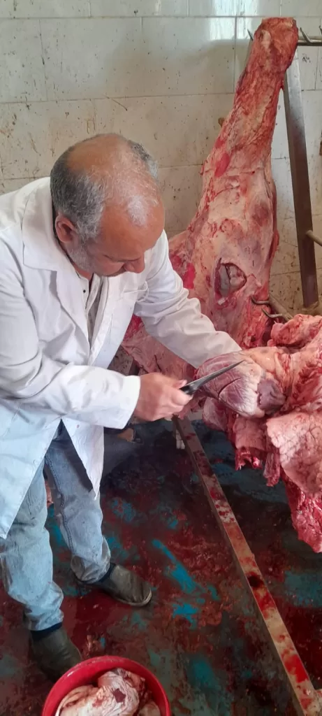 WhatsApp Image 2026 05 31 at 12.17.14 PM - جريدة الجمهورية