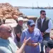 وزير الري ومحافظ الإسكندرية يتفقدان مشروعات الحواجز الغاطسة لحماية الشواطئ