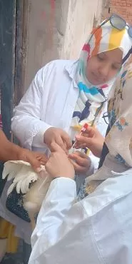 1 58 - جريدة الجمهورية