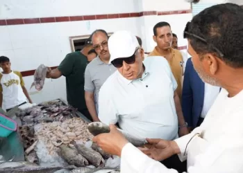 محافظ مطروح يتفقد حلقة الأسماك بالميناء الشرقي ويوجه بإعلان الأسعار الاسترشادية للمواطنين