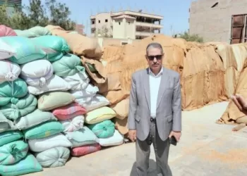 بأسيوط.. توريد ٢٣٧ ألفاً و٣٤٤ طناً من القمح المحلي بمواقع التخزين