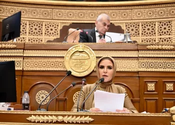 الدكتورة سحر نصر تعرض أمام مجلس الشيوخ دراسة الأثر التشريعي لقانون الشركات