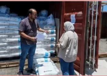 المواصفات والجودة بميناء دمياط يدعم سرعة الإفراج الجمركي وتسهيل حركة التجارة