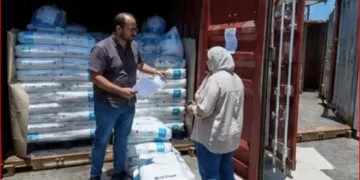 المواصفات والجودة بميناء دمياط يدعم سرعة الإفراج الجمركي وتسهيل حركة التجارة