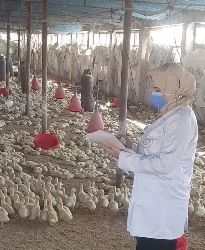 بيطري الشرقية ينجح في تحصين ١١٠ آلاف طائر وتنظيم ٣٦٠ نشاطاً إرشادياً خلال مايو