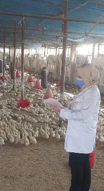 بيطري الشرقية ينجح في تحصين ١١٠ آلاف طائر وتنظيم ٣٦٠ نشاطاً إرشادياً خلال مايو
