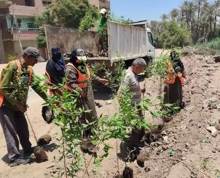 3 109 - جريدة الجمهورية