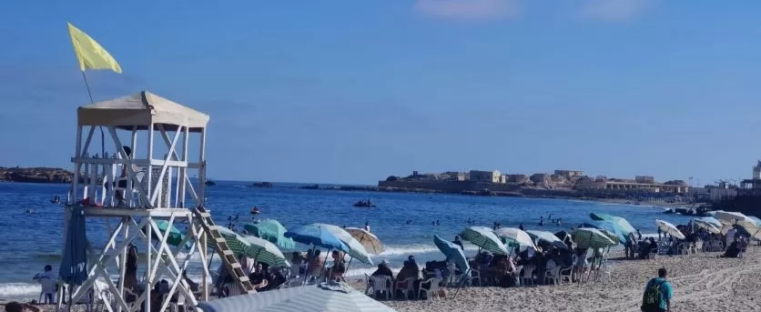 3 61 - جريدة الجمهورية