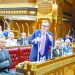 خطة تنمية لمواجهة الصدمات العالمية