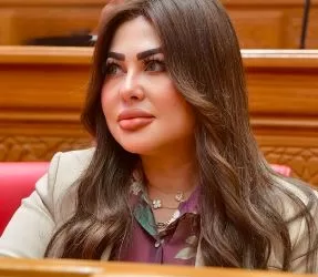 لمنع انتحال الصفات الأمنية.. مقترح برلماني لإنشاء سجل قومي إلكتروني للحراسات الخاصة