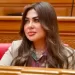 لمنع انتحال الصفات الأمنية.. مقترح برلماني لإنشاء سجل قومي إلكتروني للحراسات الخاصة