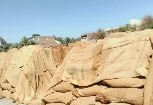 7 12 - جريدة الجمهورية