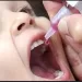 صحة الدقهلية تحصد المركز الأول في برنامج الرعاية المتكاملة لصحة الطفل (IMCI)