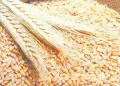 الكرة المصرية بين جيل العودة.. وصناع التاريخ