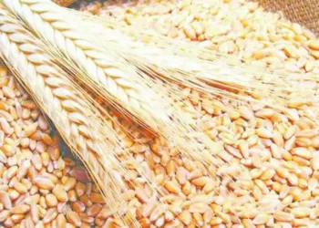الكرة المصرية بين جيل العودة.. وصناع التاريخ