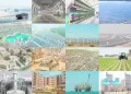 كيف نقدم إنجازات الدولة للمواطن؟ 27 - جريدة الجمهورية المنتخب يبحث عن أول فوز منذ 92 عامًا