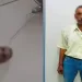 بعد ساعات من انتشار الفيديو الصادم لمسؤول تعليم القليوبية.. الداخلية ضبطت المتهم بمراودة سيدة عن نفسها مقابل نقل ابنتها 6 - جريدة الجمهورية بعد ساعات من انتشار الفيديو الصادم لمسؤول تعليم القليوبية.. الداخلية ضبطت المتهم بمراودة سيدة عن نفسها مقابل نقل ابنتها