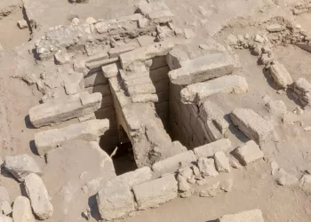 عمر الغنيمي: مبادرة إنهاء قوائم الانتظار تجسد حرص الدولة على توفير الرعاية الصحية الشاملة للمواطنين