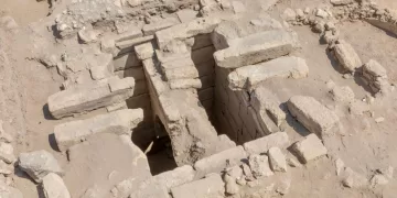 عمر الغنيمي: مبادرة إنهاء قوائم الانتظار تجسد حرص الدولة على توفير الرعاية الصحية الشاملة للمواطنين