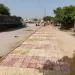 الانتهاء من رصف وتطوير عدد من الشوارع الحيوية بغرب والعجمي والعامرية بالإسكندرية 4 - جريدة الجمهورية الانتهاء من رصف وتطوير عدد من الشوارع الحيوية بغرب والعجمي والعامرية بالإسكندرية