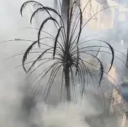 صور | حريق يلتهم أكثر من 10 منازل بقرية دير شو بأسيوط.. والسيطرة عليه دون إصابات