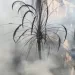 صور | حريق يلتهم أكثر من 10 منازل بقرية دير شو بأسيوط.. والسيطرة عليه دون إصابات
