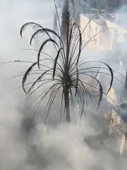 صور | حريق يلتهم أكثر من 10 منازل بقرية دير شو بأسيوط.. والسيطرة عليه دون إصابات