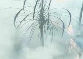 أحلام وطموح «النشامى» فى اختبار «نمساوى»