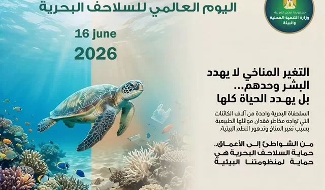 عقوبات رادعة.. القانون المصري يحظر صيد السلاحف البحرية في يومها العالمي