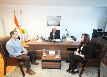 مسودة تلقائية