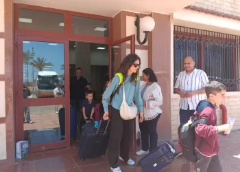 مسودة تلقائية