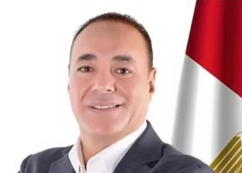 العماري: الخارجية المصرية عززت مكانة الدولة ورسخت حضورها الدولي