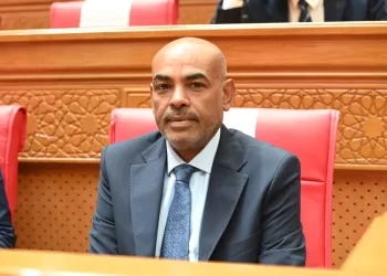 الداخلية تحبط مخططًا لترويج 3 أطنان مخدرات بربع مليار جنيه.. شياطين الإنس حاولوا ترويجها بالإسماعيلية