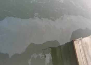 البنداري وكيلًا للنقابة العامة للأطباء البيطريين.. والحسيني أمينًا عامًا وحمدي أمينًا للصندوق