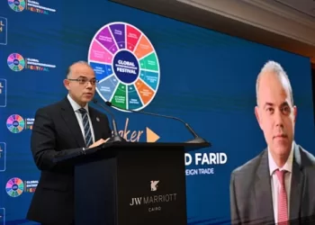 من المحلية إلى العالمية.. استراتيجية مصرية جديدة لتمكين الشركات الناشئة في 2026