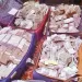 ألمانيا تطمح بـ«عبور باراجواى».. الليلة