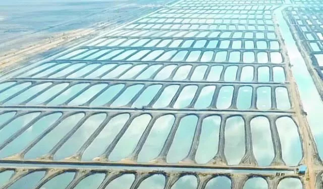 تجهيز «الضربة القاضية»