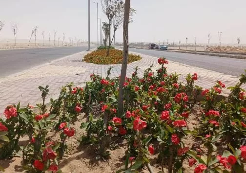 1 91 - جريدة الجمهورية