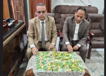 حملات تموينية مكثفة لضبط الأسواق بالدقهلية